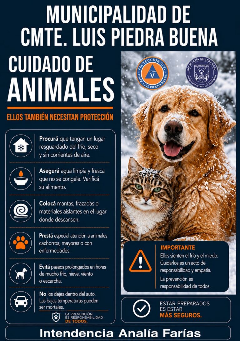 Cuidemos a nuestros animales