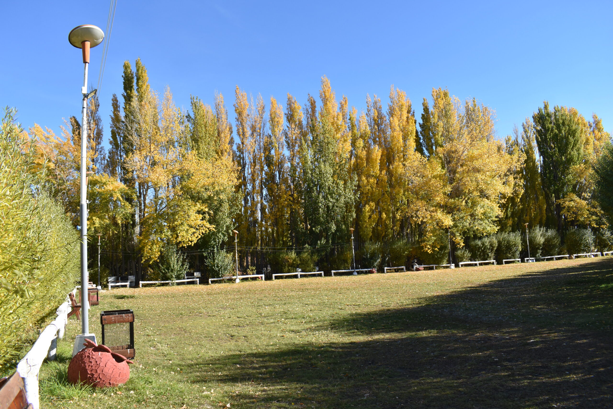 Área de camping en Isla Pavón