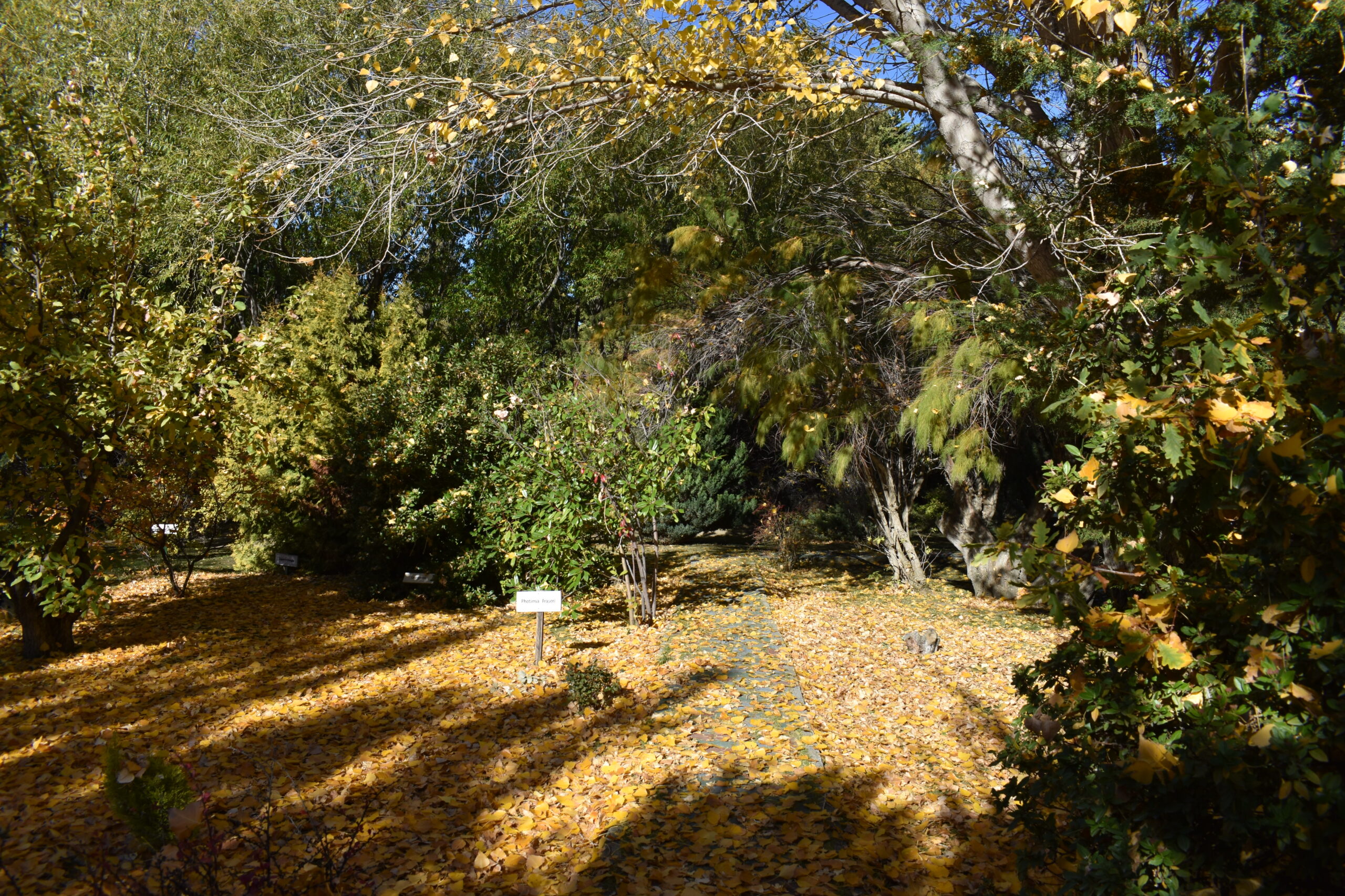 Jardín Botánico
